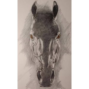 Pasión Equina